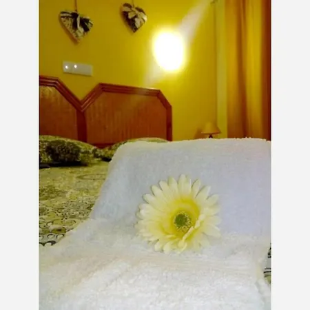 Lejlighed One Bedroom At 300 M Away From The Beach With View Furnished Balcony And Wifi *